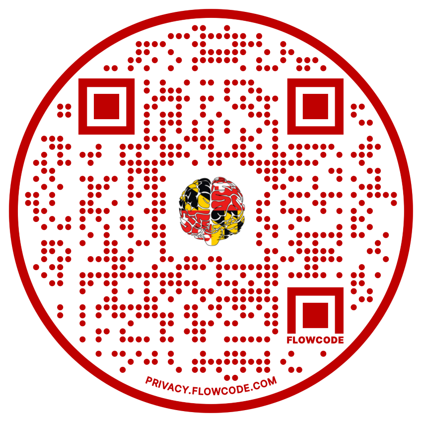 QR Code to application website