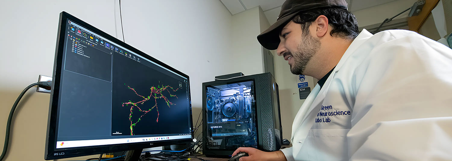 Neurobiologist working in lab