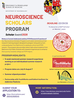 Neuroscience Scholars Program flyer